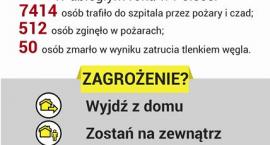 Fotka nr 2 z 4
