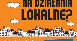 Fotka nr 1 z 2