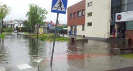 Fotka nr 0 z 21