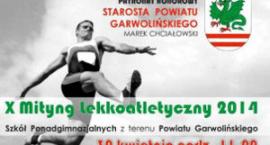 Fotka nr 0 z 2