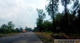 zdjęcie nr 7