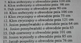 Fotka nr 2 z 11