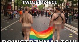 Fotka nr 1 z 2