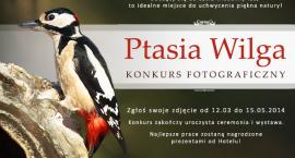 Fotka nr 1 z 2