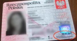 Fotka nr 0 z 2