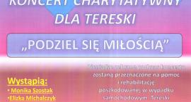 Fotka nr 1 z 2
