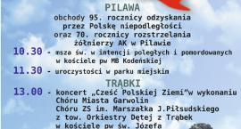 Fotka nr 1 z 2