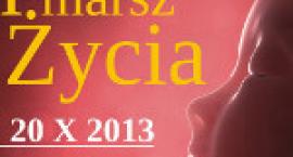 Fotka nr 0 z 2