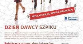 zdjęcie nr 7