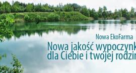 Fotka nr 2 z 3