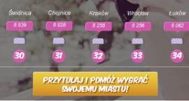 Fotka nr 3 z 4