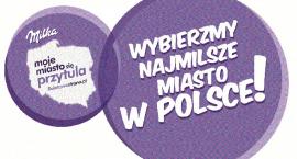 Fotka nr 3 z 4