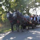 zdjęcie nr 86
