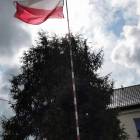 zdjęcie nr 34