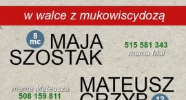 Fotka nr 3 z 4
