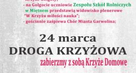 Fotka nr 4 z 6