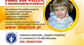 Fotka nr 1 z 3