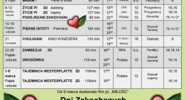 Fotka nr 3 z 4