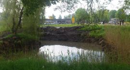 zdjęcie nr 8