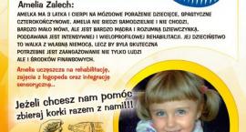 Fotka nr 1 z 2