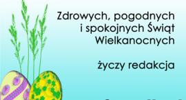 Fotka nr 1 z 2
