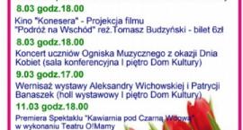 Fotka nr 1 z 2