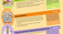 Fotka nr 1 z 2