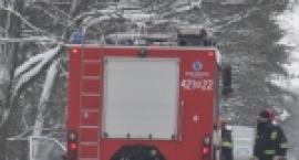 Fotka nr 1 z 2