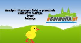 Fotka nr 1 z 2
