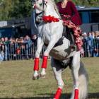 zdjęcie nr 166