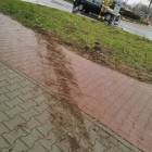 zdjęcie nr 11