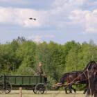 zdjęcie nr 116