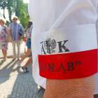 zdjęcie nr 13