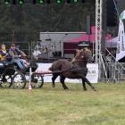 zdjęcie nr 30