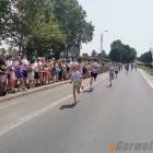 zdjęcie nr 185
