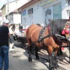 zdjęcie nr 143