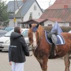 zdjęcie nr 34