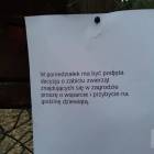 zdjęcie nr 9