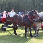 zdjęcie nr 20