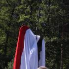 zdjęcie nr 7