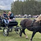 zdjęcie nr 78