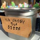 zdjęcie nr 25