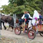 zdjęcie nr 131