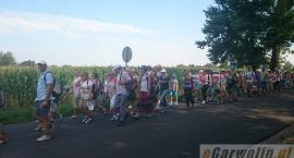 zdjęcie nr 126