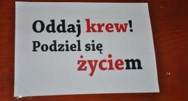 zdjęcie nr 14