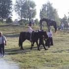 zdjęcie nr 157