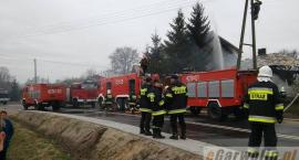 zdjęcie nr 8