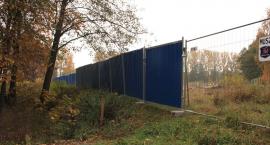 zdjęcie nr 7