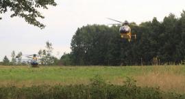 zdjęcie nr 16