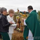 zdjęcie nr 174